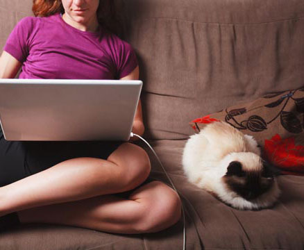 cat-napping-next-owner