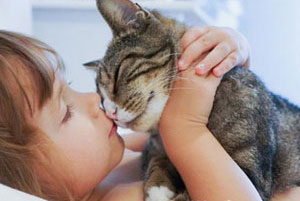 Cat showing affection