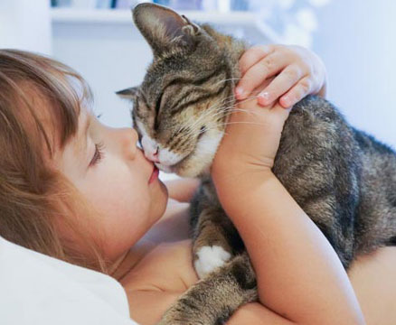 Cat showing affection to a child
