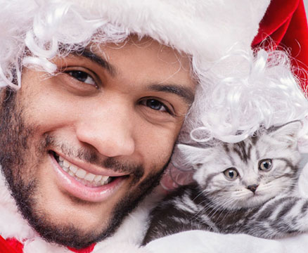 Christmas safety cats-05