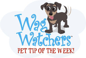 Wag Watchers tip of the week