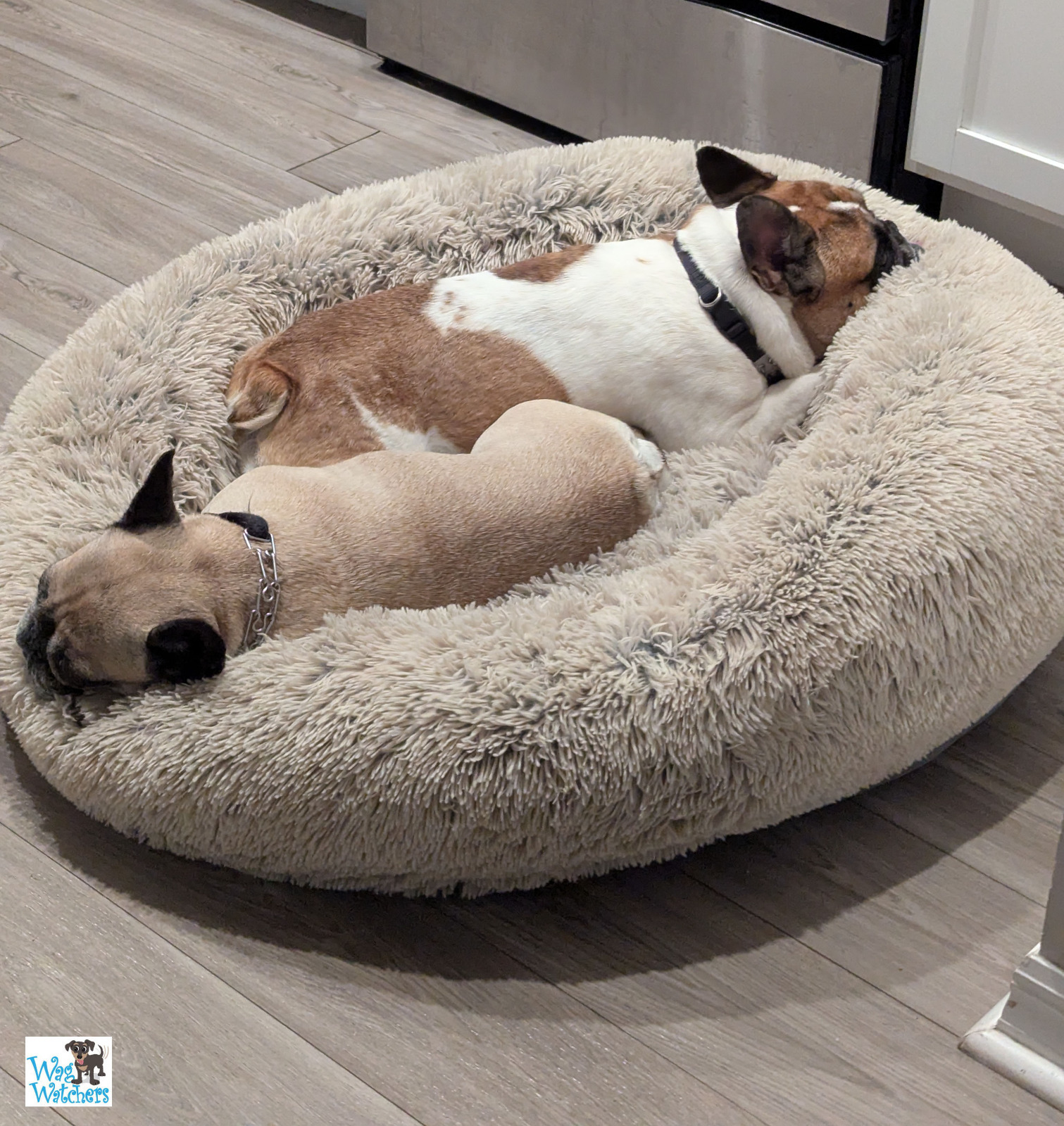 pup naps