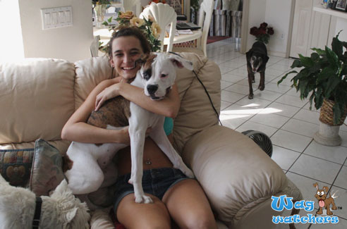 pet-hotel-srasota-fl