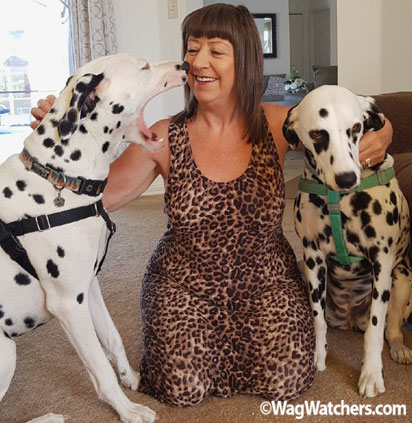 Pet sitter Sue B in Davenport FL