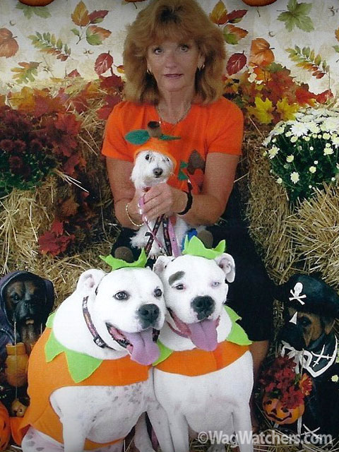 Pet sitter Mary in North Port FL