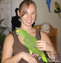 bird-sitting-bradenton-fl