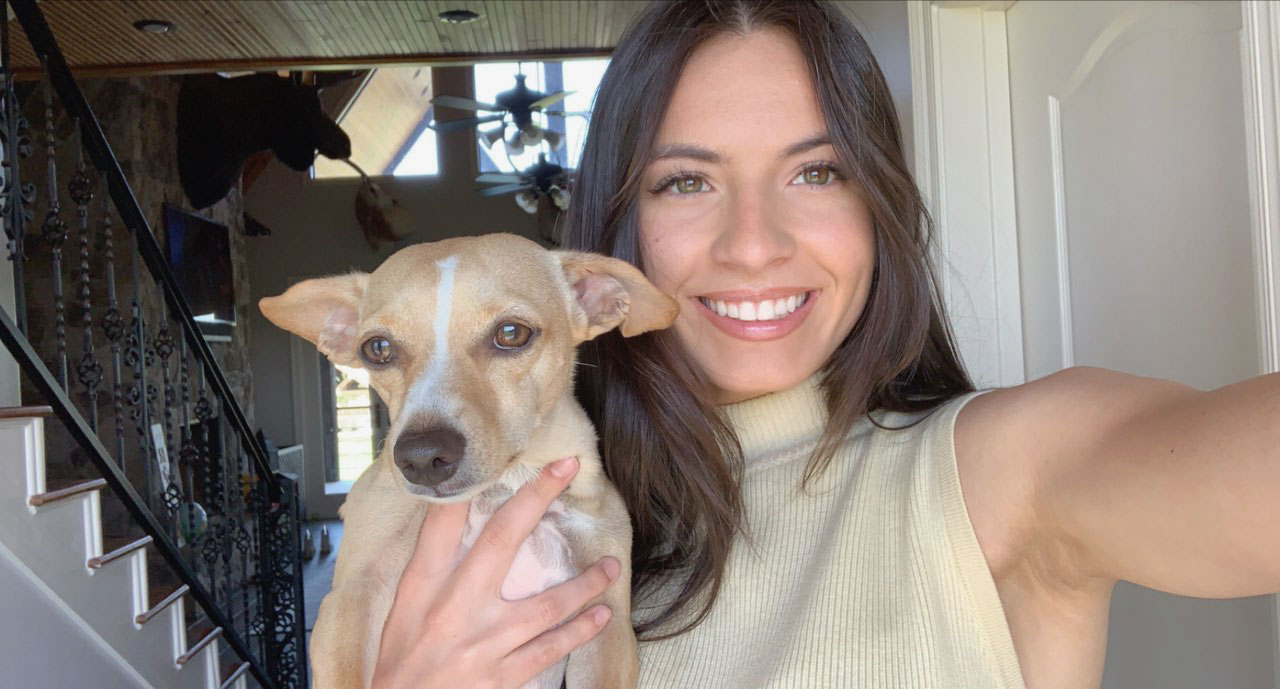 Chawawa and her Pet sitting