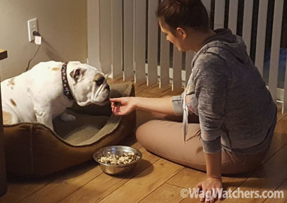 Hand feeding Bella in Port Charlotte FL