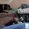 playtime