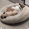 pup naps